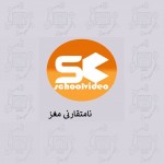 دانلود پاورپوینت نامتقارنی مغز